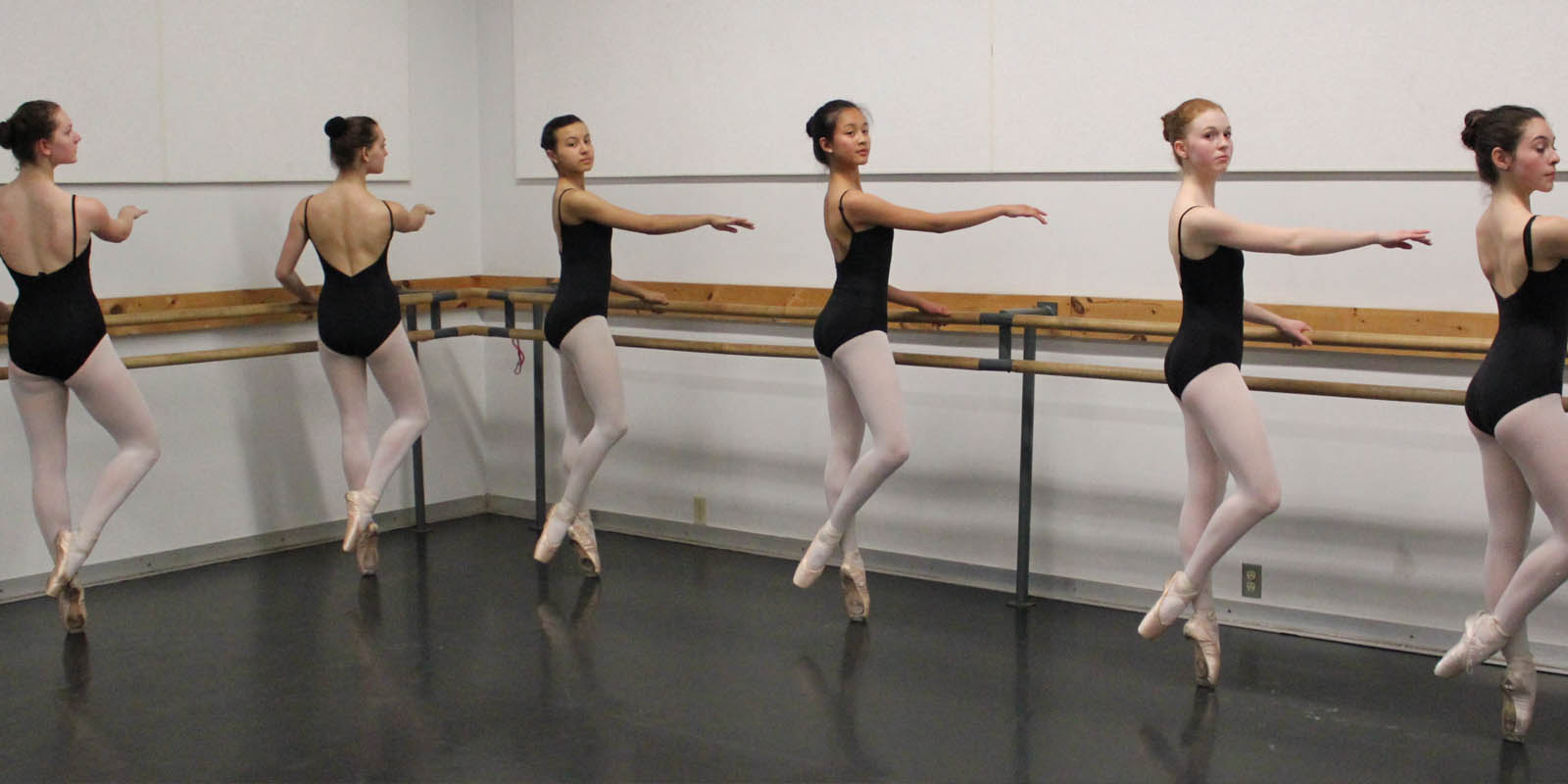 Pre-professional Program