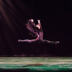 img_4271