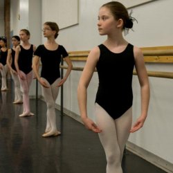 Pre-Professional Program